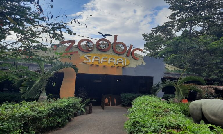zoobic safari address subic